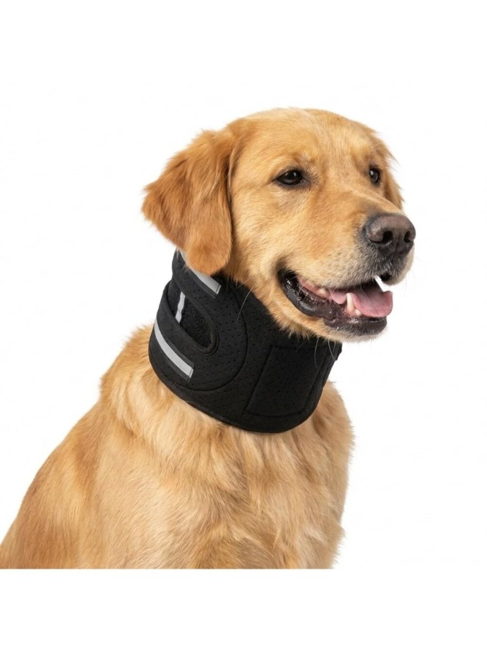 Lushnessu Dog Neck Brace with Springs, Adjustable Spine Alignment Support(M)